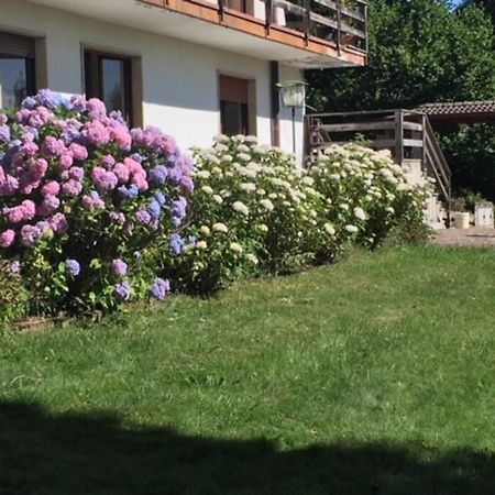 Villa Immersa Nel Verde A 란조 딘텔비 외부 사진