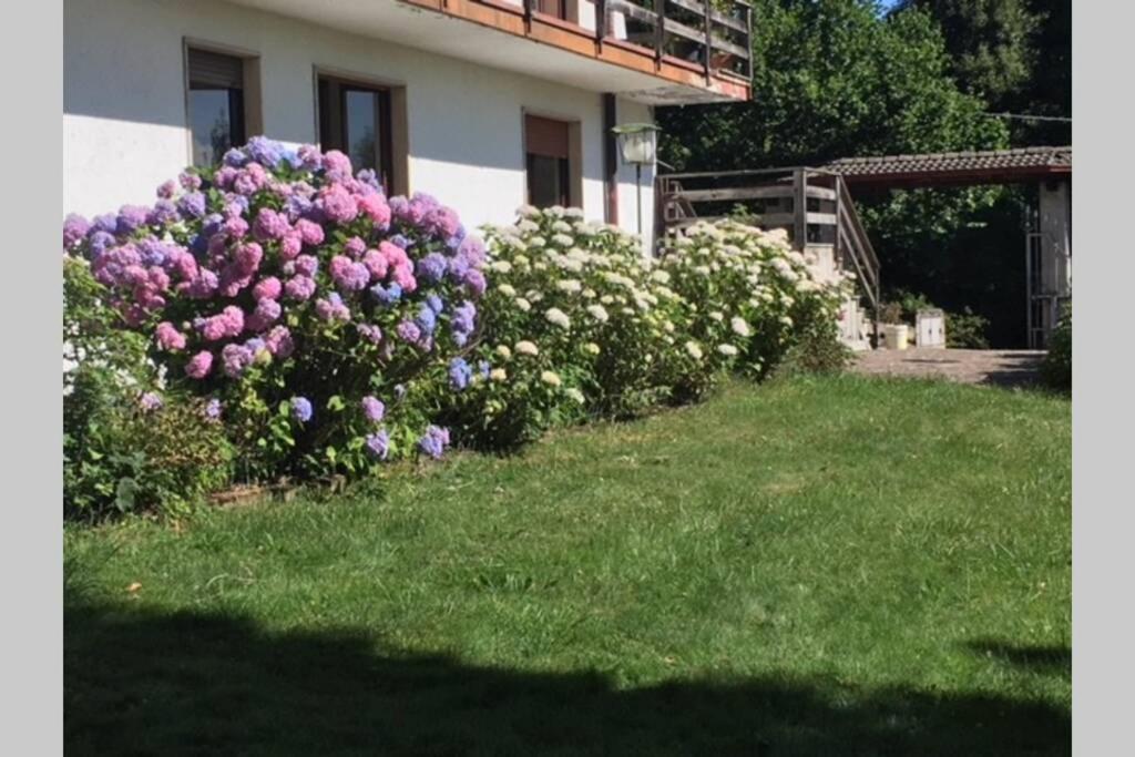 Villa Immersa Nel Verde A 란조 딘텔비 외부 사진