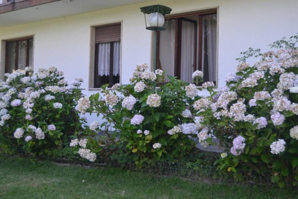 Villa Immersa Nel Verde A 란조 딘텔비 외부 사진